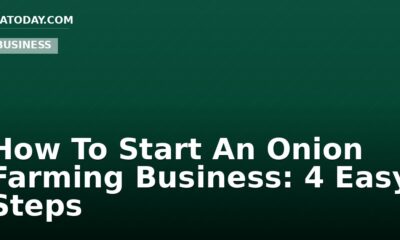 How To Start An Onion Farming Business: 4 Easy Steps