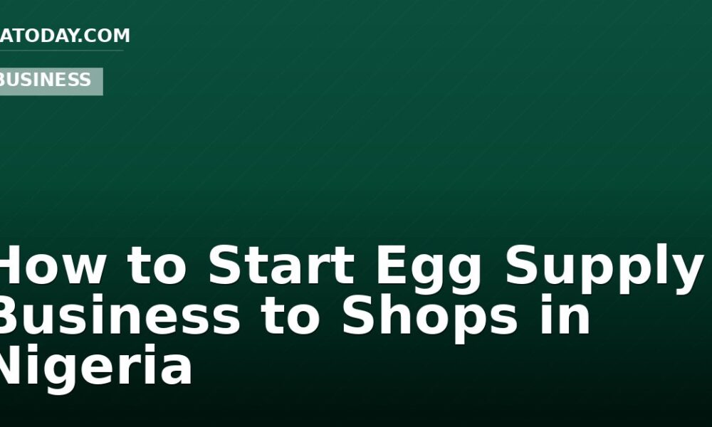 How to Start Egg Supply Business to Shops in Nigeria