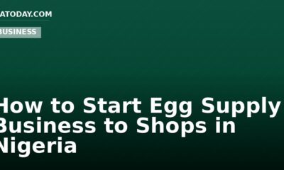 How to Start Egg Supply Business to Shops in Nigeria