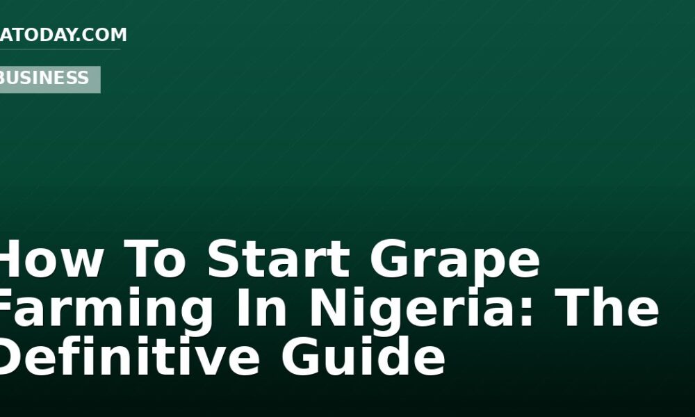 How To Start Grape Farming In Nigeria: The Definitive Guide