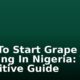 How To Start Grape Farming In Nigeria: The Definitive Guide