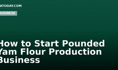 How to Start Pounded Yam Flour Production Business