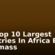 The Top 10 Largest Countries In Africa By Landmass
