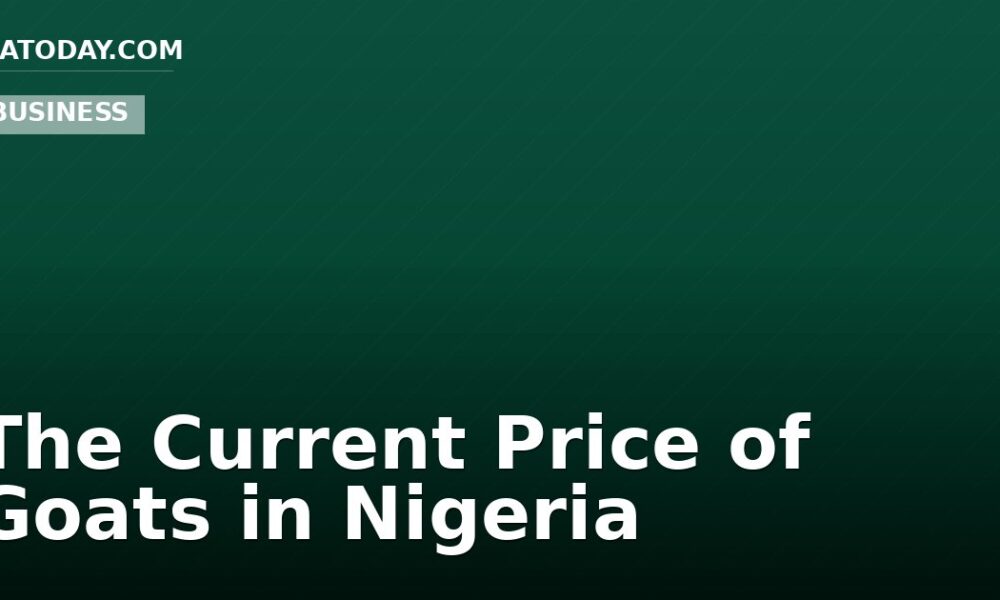 The Current Price of Goats in Nigeria