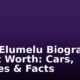 Tony Elumelu Biography & Net Worth: Cars, Houses & Facts
