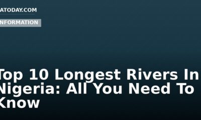 Top 10 Longest Rivers In Nigeria: All You Need To Know