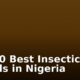 Top 10 Best Insecticide Brands in Nigeria