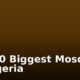 Top 10 Biggest Mosques in Nigeria