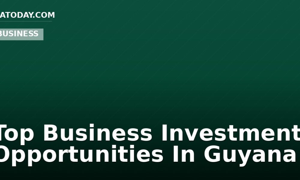 Top Business Investment Opportunities In Guyana