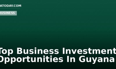 Top Business Investment Opportunities In Guyana