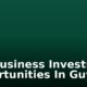 Top Business Investment Opportunities In Guyana