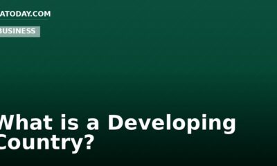 What is a Developing Country?