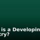 What is a Developing Country?