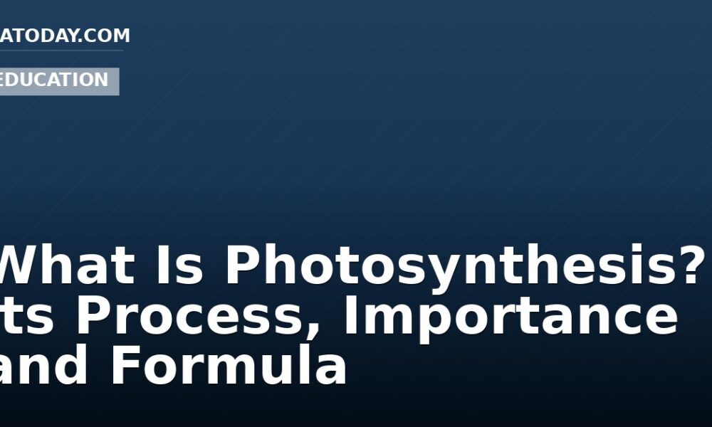 What Is Photosynthesis? Its Process, Importance and Formula