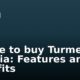 Where to buy Turmeric in Nigeria: Features and Benefits